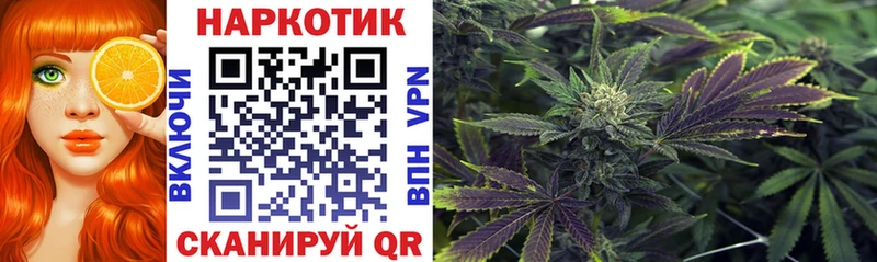 Как найти наркотики Калининград ГАШИШ  Конопля  Кокаин  Меф мяу мяу 
