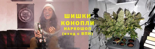 винт Инсар