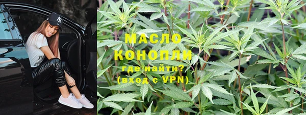 прущие грибы Инта