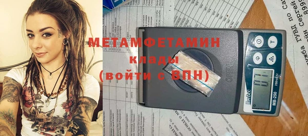прущие грибы Инта