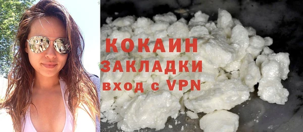 прущие грибы Инта