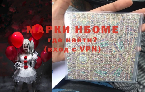 прущие грибы Инта