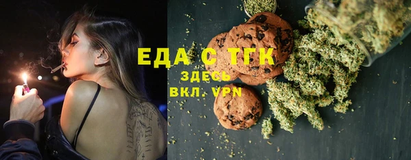 индика Зеленокумск
