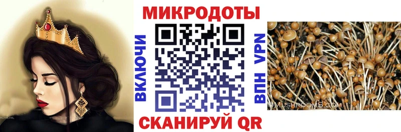 Псилоцибиновые грибы мухоморы  Калининград 